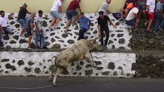 Ganadaria ER - Caminho Da Vila 2022 - Ilha Terceira - Açores