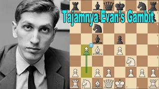 Evans's Gambit di Tangan Fischer Bagai Pedang