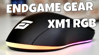 EndGame Gear XM1 RGB Pixart PMW 3389 High End Gaming Mouse