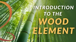 Introduction to the Wood Element