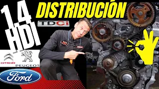 1.4 Hdi. TIMING BELT REPLACEMENT Citroën, Peugeot, Ford, Mazda. Step by step tutorial.