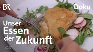 Vom Land auf den Teller: Unser Essen der Zukunft | Gut zu wissen | BR