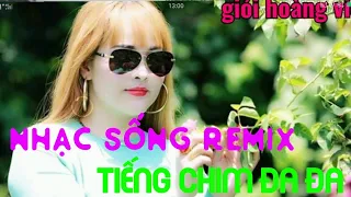 Nhạc sống remix. Tiếng chim Đa Đa nét căng