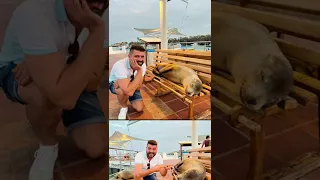 Galápagos 🐢 Галапагосские острова 🦭