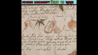 दुनिया की सबसे रसायमई Ancient book | Voynich manuscript The Mysterious Book in hindi | #shorts