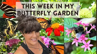 The Art of Gardening:  Creating a Thriving Backyard Pollinator Habitat