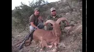 Bushlan Video Journal in West Texas Aoudad Ram Hunt