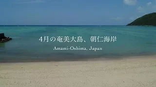 4月の奄美大島、朝仁海岸（ドローン空撮 4K）