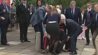 Prince William helps elderly dignitary who falls to the ground