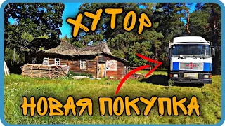 НОВАЯ ПОКУПКА ДЛЯ ЛЕСНОГО ХУТОРА. ЗАЛЕЗ В КОЛОДУ ЗА МЁДОМ.