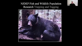 The Influence of Personal Experiences on Perceptions of Black Bears in New Jersey