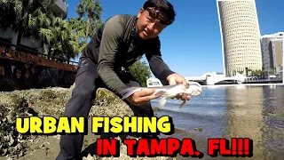 I Fished in DOWNTOWN TAMPA...!!! (And Caught A BUNCH OF FISH)