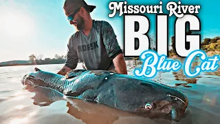 MASSIVE Missouri River BLUE CATFISH! (New PERSONAL BEST!)