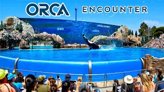 Orca Encounter | FULL SHOW 4K Ultra HD | SeaWorld San Diego