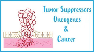 Tumor suppressors, Oncogenes and Cancer Biology (USMLE Essentials)