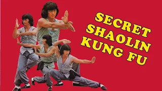 Wu Tang Collection - Secret Shaolin Kung Fu