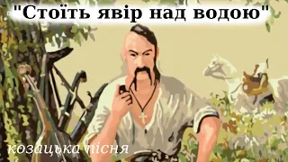 "Стоїть явір над водою" слухати текст. Козацька пісня