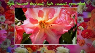 Я дарю тебе цветы, чтобы улыбнулась ты!