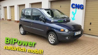 Fiat Multipla BiPower - Vorteile der Erdgasvariante | Multipla Garage