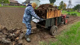 Прицеп мотоблока с гидроподъёмом перевозит навоз - 2021.10