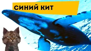 Синий кит | Самое интересное и позновательное про животных для детей | Семен Ученый