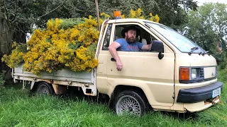 THE RAGWORT MEN