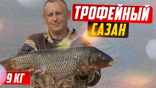 Рыбалка на сазана, как поймать трофейного сазана.