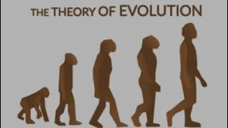 Theory of Evolution destroyed in under 4 minutes  #evolution #theory #frankturek #crossexamined