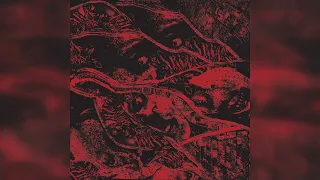 Vermin Womb - Crumbling World Without Joy