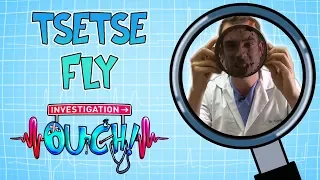 Science for kids - Tsetse Fly | Body Parts | Experiments for kids | Operation Ouch