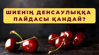 Шиенің денсаулыққа пайдасы көп ауруларға ем