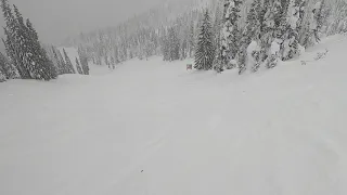 Big White Powder Bowl 06 Feb 2020