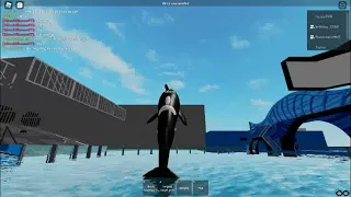 One Ocean (Orca Encounter stadium)