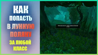 Как попасть в Лунную поляну Wow Classic