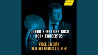 Oboe Concerto in F Major, BWV 1053R (Arr. for Horn & Orchestra) : I. Allegro