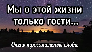 Стихи про нашу жизнь! Мы в этой жизни только гости...