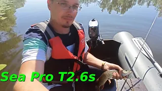 Sea Pro T2.6s: подходит ли для троллинга? Рыбалка на реке Татьянка