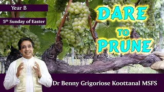 5th Sunday: DARE TO PRUNE, by Fr Benny Grigoriose Koottanal MSFS