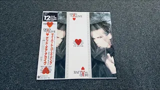 Dead Or Alive My Heart Goes Bang Get Me To The Doctor [Japanese 1985 Record]