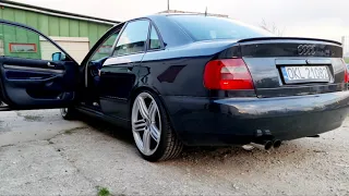 Audi A4B5 2.6 V6 Straight pipe + Proex