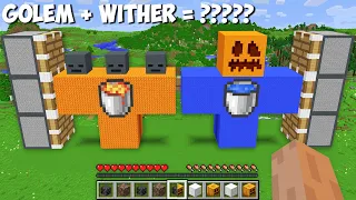 I can COMBINE BIGGEST WATER GOLEM and LAVA WITHER OF 1000 BLOCKS in Minecraft ! LAVA vs WATER !