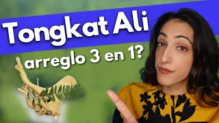 ¿El santo grial para la disfunción eréctil, la testosterona baja y la infertilidad? | Tongkat Ali