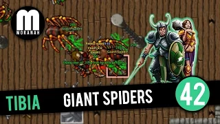 Tibia - #42 - Elite Knight hunting Giant Spiders