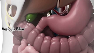 Recomendaciones y cuidados para después de una cirugía de vesícula