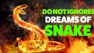 Dreams of Snake! What's expecting the person who sees this dream?  Do not Ignore! Dreaming of Snakes