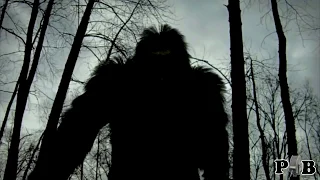 the "Bigfoot Screams In Yosemite" audio file