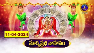 Sri Kodandaramaswamy Vari Brahmotsavalu || Surya Prabha Vahanam || Tirupati || 11-04-2024 || SVBCTTD