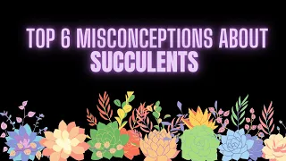|| TOP 6 MISCONCEPTIONS ABOUT SUCCULENTS ||