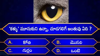 Interesting Questions In Telugu|Episode-3|By Rk thoughts|Unknown Facts|Genera Knowledge|Telugu Quiz