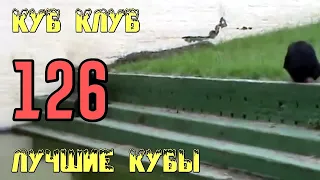 ЛУЧШИЕ КУБЫ | Куб Клуб [выпуск #126]